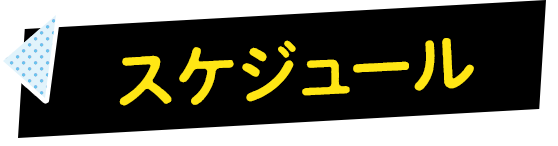 スケジュール